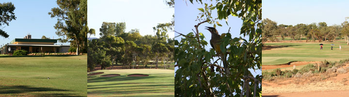 Slideshow of photos taken on and around the Port Augusta Golf Course